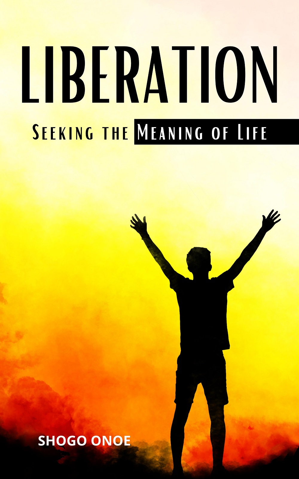 Liberation Seeking the Meaning of Life By Shogo Onoe